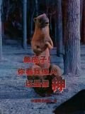 人皮子讨封，黄皮子都懵逼了